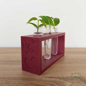 Products: Heart Propagation Station