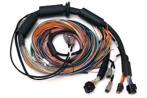 Haltech: Haltech Nexus R3 Universal Wire-in Harness Kit Length: 2.5m (8')