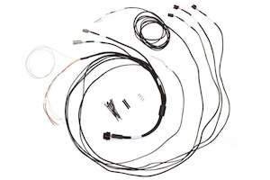 Haltech: Haltech Semi Terminated Stand-Alone Harness For iC-7 Display Dash