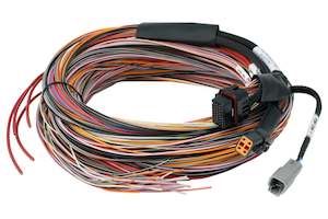 Ecu Universal Harnesses: Haltech PD16 Flying Lead Harness - 5M Length: 5M / 16FT
