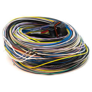 Ecu Universal Harnesses: Link B Loom Long - #5LB