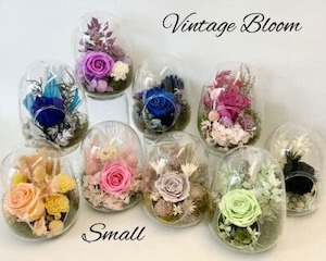 Dried Flower Arrangments: Preserved Arrangement – Floral Domes