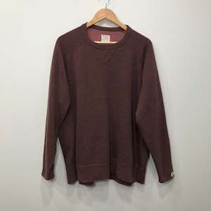 Champion: Vintage Champion Sweatshirt (L/BIG)