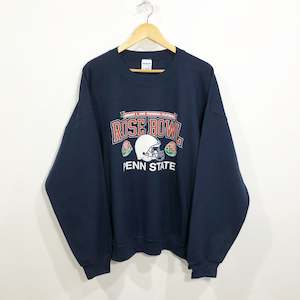 University: Gildan Sweatshirt Penn State Uni (2XL)