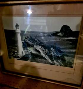 Kiwiana: Vintagepickers vintage art.