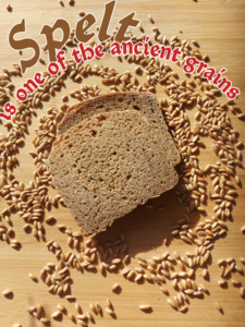 Spelt ( Dinkel or Farro) Wholemeal Sourdough Bread 900g