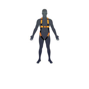 ESSENTIAL BODY HARNESS