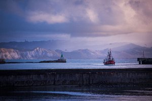 Products: Spid Pye Photographer-Harbour