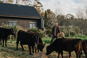 Products: Self Sufficiency on the Home Block Vital Harvest