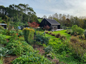 Products: Edible Gardening on the Home Block Vital Harvest