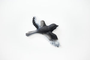 Soaring Bird - Monochrome - Vitality Art Studio
