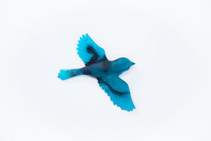 Soaring Bird - Teal Glass-Effect - Vitality Art Studio