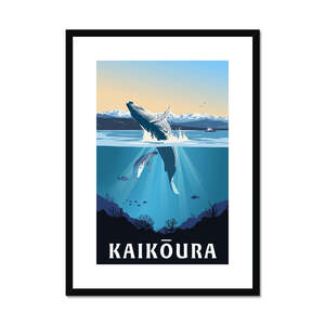 Framed Posters: Kaikōura Whale Watching Framed & Mounted Print