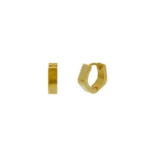 Accesssories: Michaelee Earrings Gold