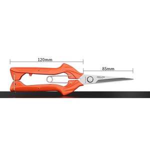 Harvesting Processing: Delixi Fruit & Flower Pruning Scissors – Precision Garden Shears