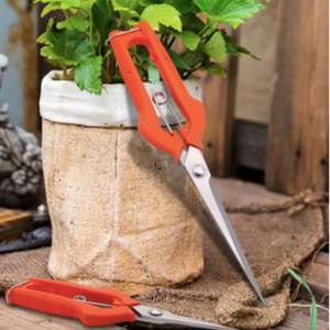 Harvesting Processing: Sagawa Pruning Shears: Precision SK5 Stainless Steel Garden Tool