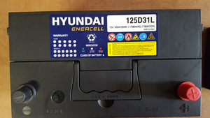Heavy Duty Truck & Commercial Batteries: 125d31l
