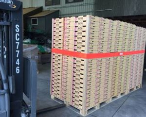 100 mm x 5 mtr LOGISTRAP®