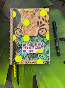 Visual Diary // Milk