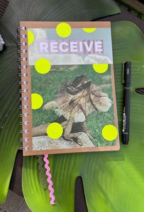 Products: Visual Diary // Receive