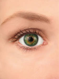Real Look Contact Lenses