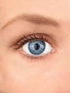 Real Look Contact Lenses