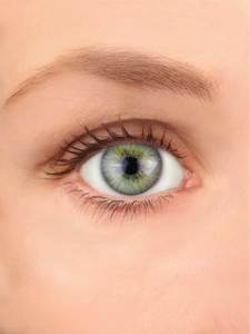 Real Look Contact Lenses
