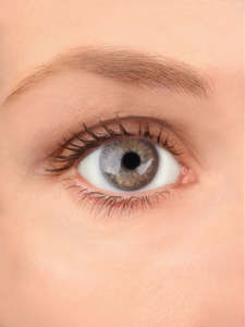 Real Look Contact Lenses