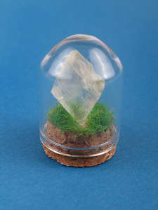 Gemstone & Mineral Glass Dome