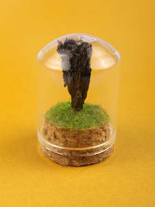 Gemstone & Mineral Glass Dome
