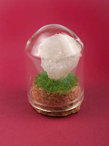 Gemstone & Mineral Glass Dome