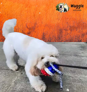 Animals & Pet Supplies Pet Supplies Dog Supplies Dog Toys: Tug O' Hero™