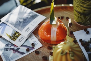 Folded Brochures - Waikato Printing Company