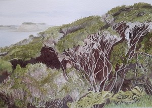 Products: Monday Watercolour continuers – Term 1