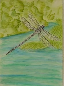 Monday Art Techniques 10-15 years – Term 3