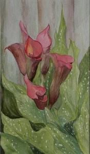 Monday Afternoon Watercolour Beginners and Continuers – Term 3