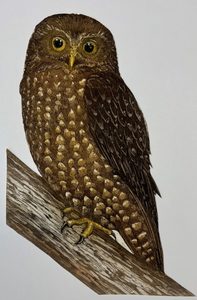 Wednesday Evening Exciting Etching – Untutored – Term 3