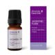 Absolute Essential Jasmine Absolute 2ml