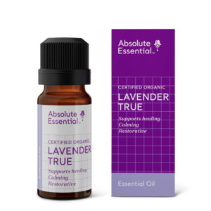Absolute Essential Lavender True (org) 10ml