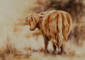 Products: “Highland Cow” by Sandra Whyte