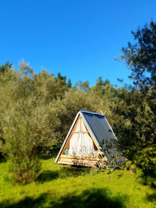The Wairarapa Eco Farm
