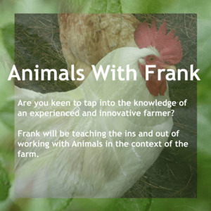 The Wairarapa Eco Farm