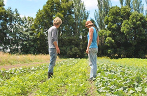 The Wairarapa Eco Farm