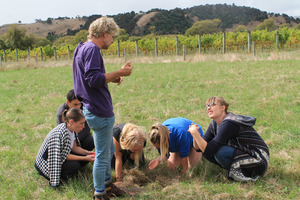 The Wairarapa Eco Farm