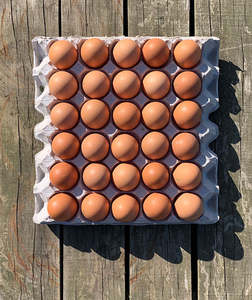 Free Range Trays: Free Range Size 6