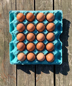 Free Range Trays: Free Range Jumbo Size 8