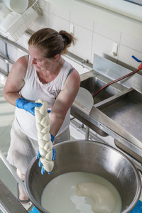 Cheese: Family Sized Christmas Pack Special