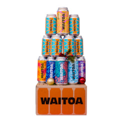 Twelve Beers of Christmas Box