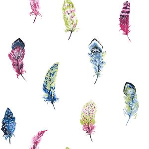 Products: Feathers Wallsorts