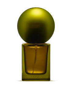 Fragrances: Pine Eau De Parfum - 30ml